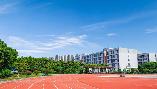 中標廣州現代信息工程職業技術學院學校網站建設